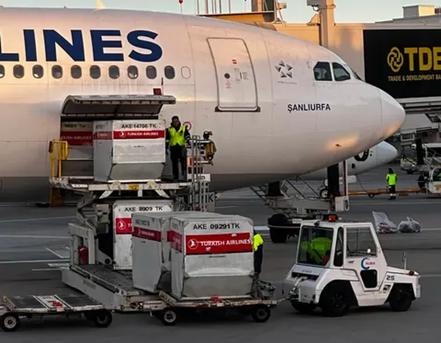 Air cargo loading