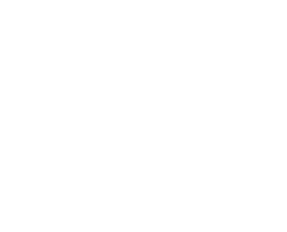 HIRO EXPRESS